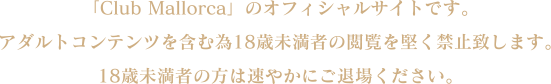 説明